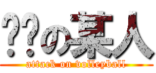 傻嗨の某人 (attack on volleyball)