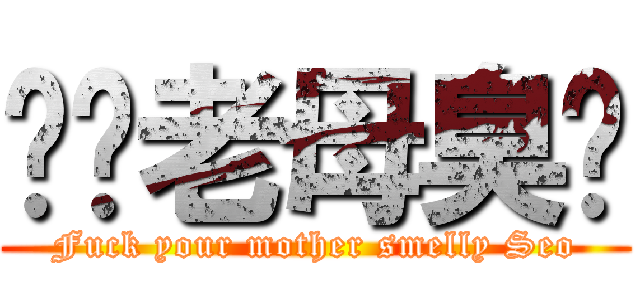 屌你老母臭閪 (Fuck your mother smelly Seo)