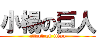 小楊の巨人 (attack on titan)