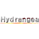 Ｈｙｄｒａｎｇｅａ (ハイドランジア)