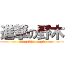 進撃の野木 (singekino nogi)