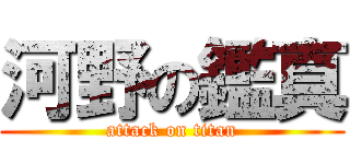 河野の鑑真 (attack on titan)