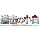 進击の小白 (attack on titan)
