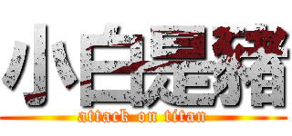 小白是豬 (attack on titan)