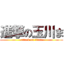 進撃の玉川ま (attack on titan)