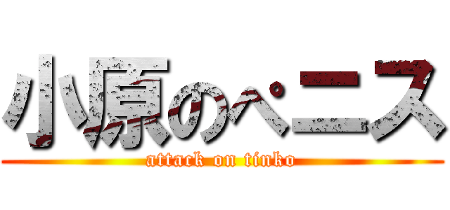 小原のぺニス (attack on tinko)