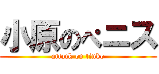 小原のぺニス (attack on tinko)
