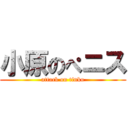 小原のぺニス (attack on tinko)