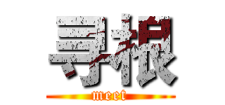 寻根 (meet)