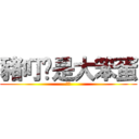 豬叮你是大笨蛋 (哈哈)