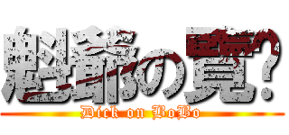 魁爺の覽啪 (Dick on BoBo)