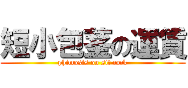 短小包茎の運賃 (phimosis on sit cock)