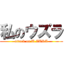 私のウズラ (attack on U.ZURA)