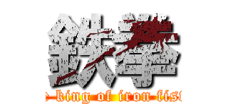 鉄拳 (the king of iron fists)