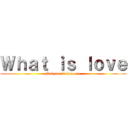 Ｗｈａｔ ｉｓ ｌｏｖｅ (Baby don\'t hurt me)