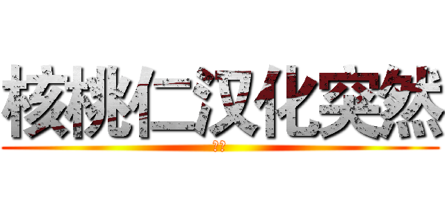 核桃仁汉化突然 (合同)