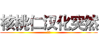 核桃仁汉化突然 (合同)