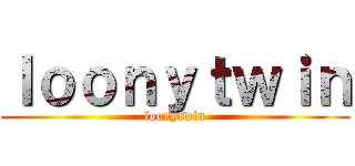 ｌｏｏｎｙｔｗｉｎ (loonytwin)