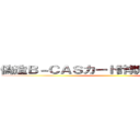 偽造Ｂ－ＣＡＳカード詐欺 支那ＳＰＡＭ ()