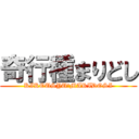 奇行種まりどし (KIKOUSYU　MARIDOSI)