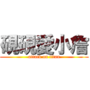 硯硯愛小詹 (attack on titan)