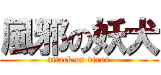 風邪の妖犬 (attack on virus)