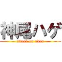 神尾ハゲ (attack on titan)