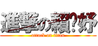 進撃の賴玟妤 (attack on titan)