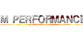 Ｍ ＰＥＲＦＯＲＭＡＮＣＥ ( METAL RESISTANCE)