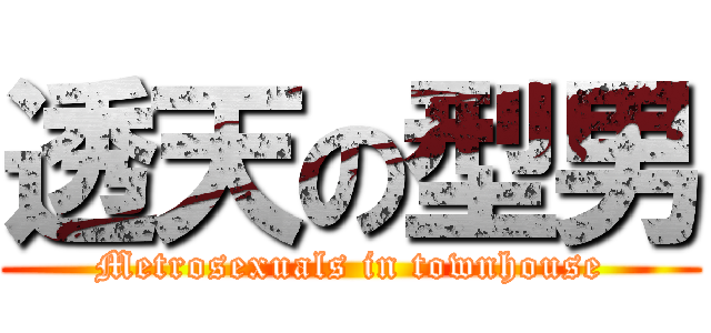 透天の型男 (Metrosexuals in townhouse)