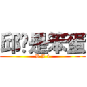 邱珩是笨蛋 (B J 4)