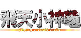 飛天小神龜 (Flying a small turtle)