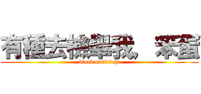 有種去檢舉我，笨蛋 (block me!bitch!)