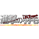 進撃の羽毛 (attack on Sy Lin)