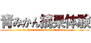 青みかん摘果体験 (to thin out redundant orange)