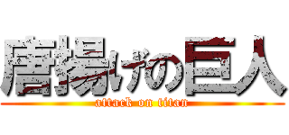 唐揚げの巨人 (attack on titan)