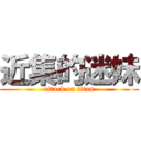 近集的迷妹 (attack on titan)