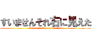 すいませんそれ右に見えた (I\'m sorry.I looked it right)