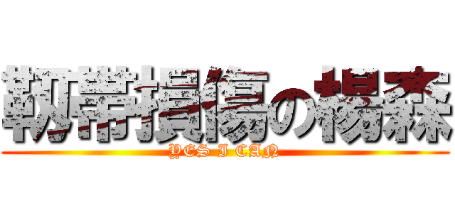 靱帯損傷の楊森 (YES I CAN)