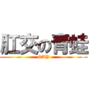 肛交の青蛙 (GAY)