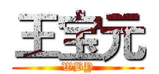 王宝元 (WBY)