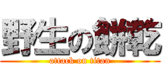 野生の餅乾 (attack on titan)