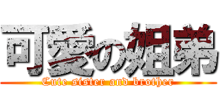 可愛の姐弟 (Cute sister and brother)