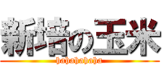 新培の玉米 (hahahahaha)
