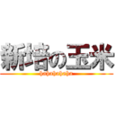 新培の玉米 (hahahahaha)