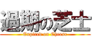 過期の芝士 (Expired on Cheese)