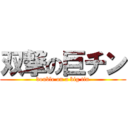 双撃の巨チン (double on a big tin)