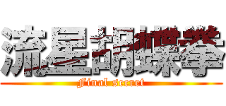 流星胡蝶拳 (Final secret)