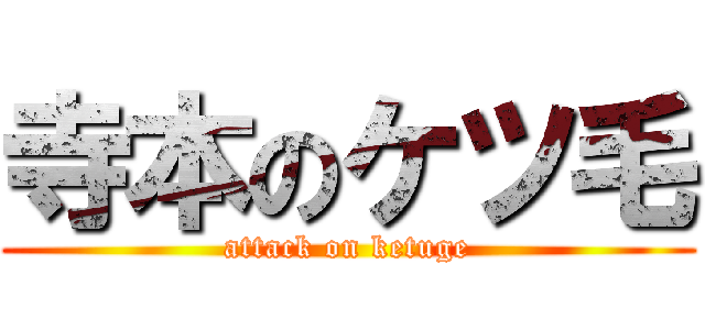 寺本のケツ毛 (attack on ketuge)