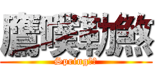 鷹噗勒煞 (Spring天使)